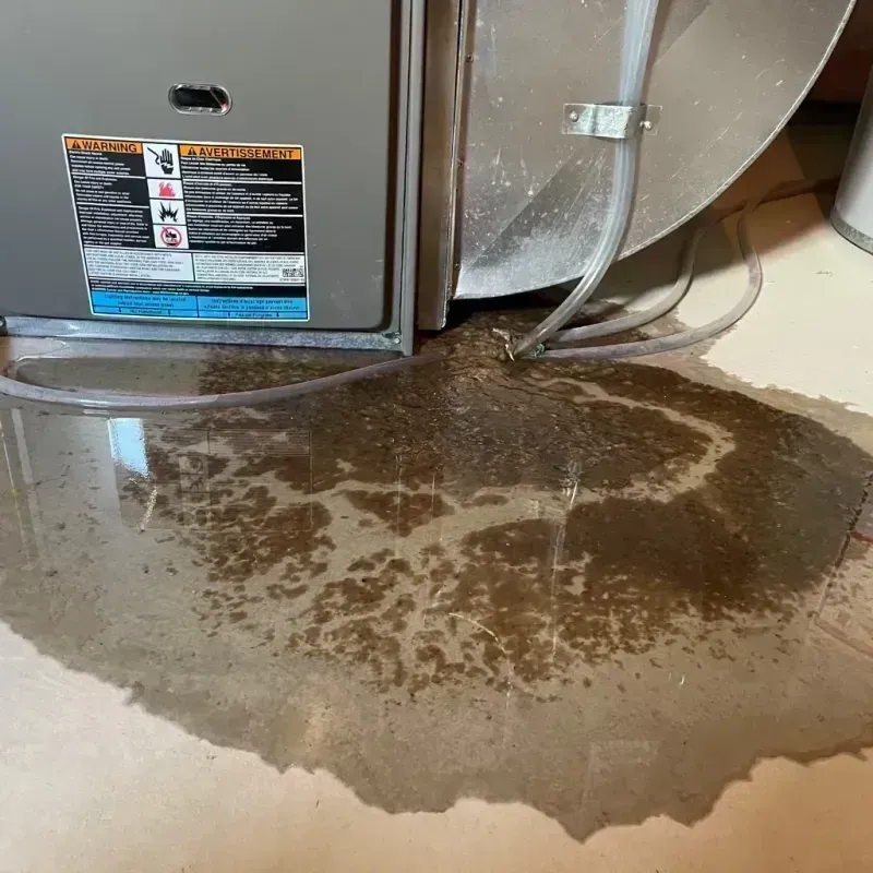 Appliance Leak Cleanup in Bainbridge, OH